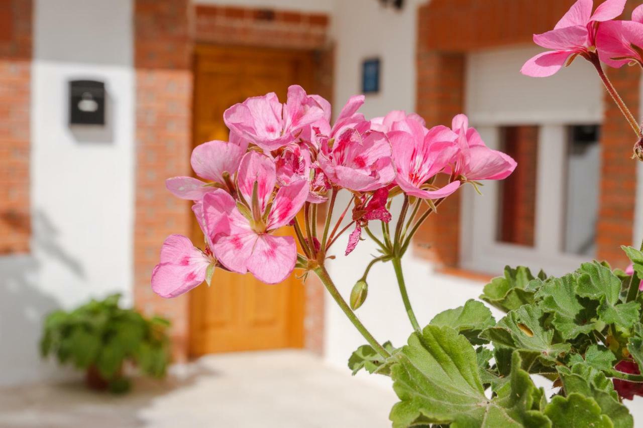 Casa Turistica El Navego Villa Martin Munoz de las Posadas Екстериор снимка